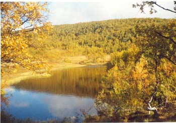 Stillvannet Finnvikdalen
