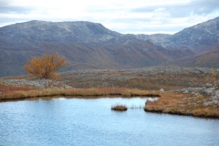 Kristendalvannet