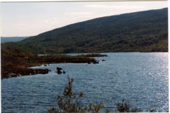 Langvannet Trondjord 1