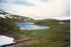 Langvannet Trondjord