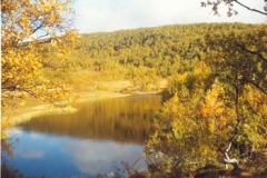 Stillvannet Finnvikdalen
