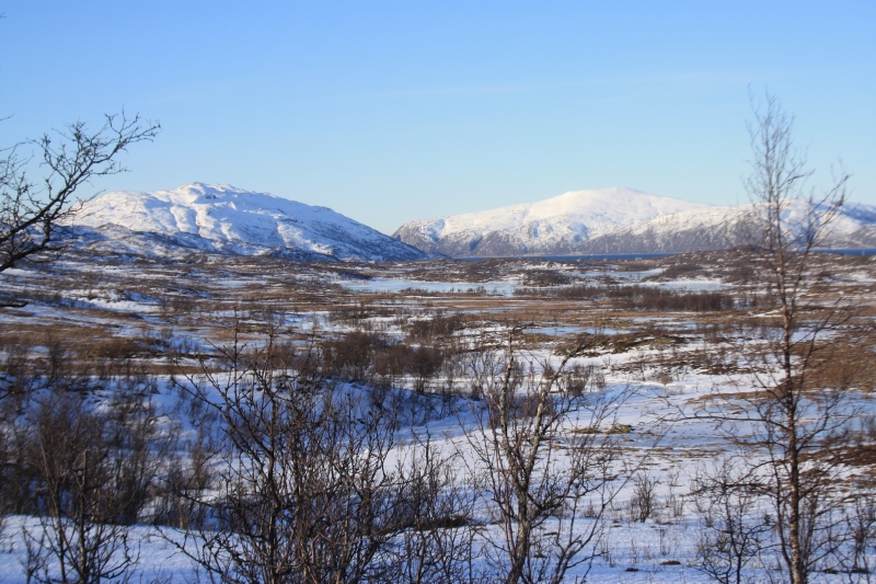 Rakfjord-vinter